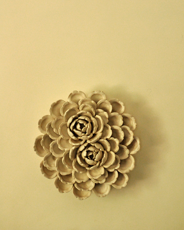 #color_ivory