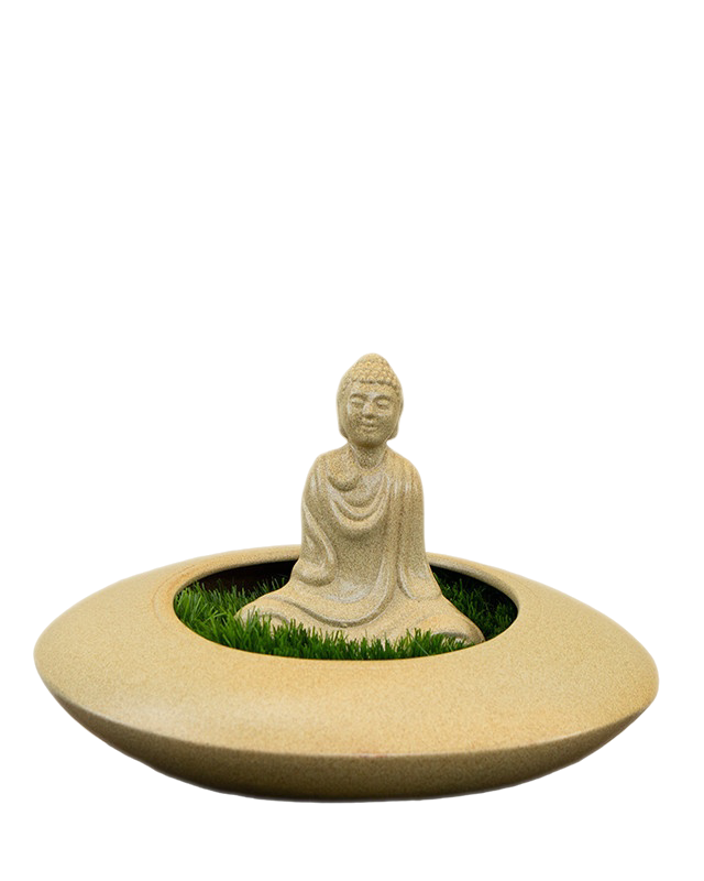 Buddha Bowl